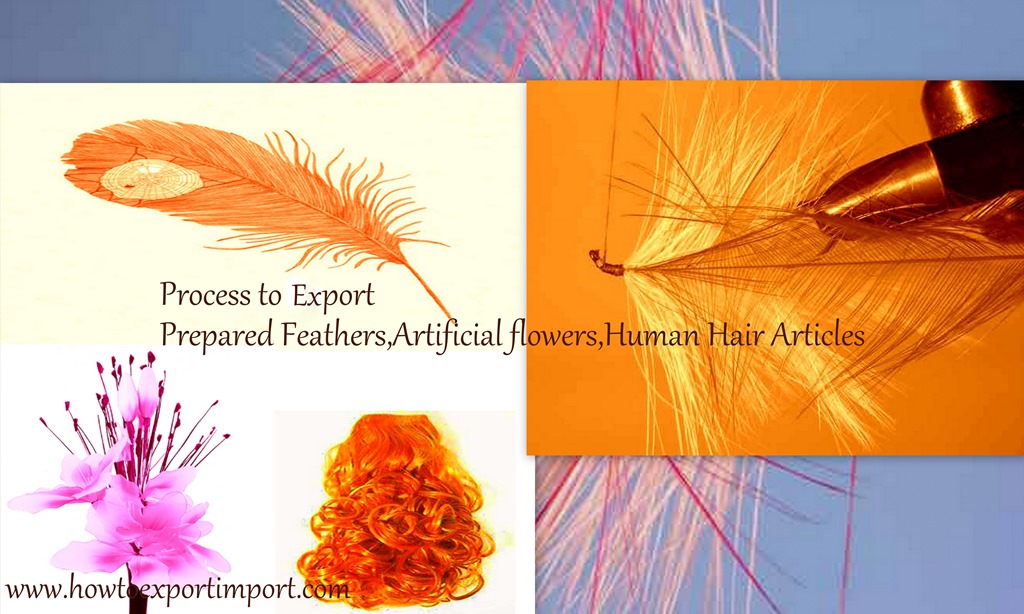 Indian Tariff Code (ITC Number) for Human Hair and Articles thereof